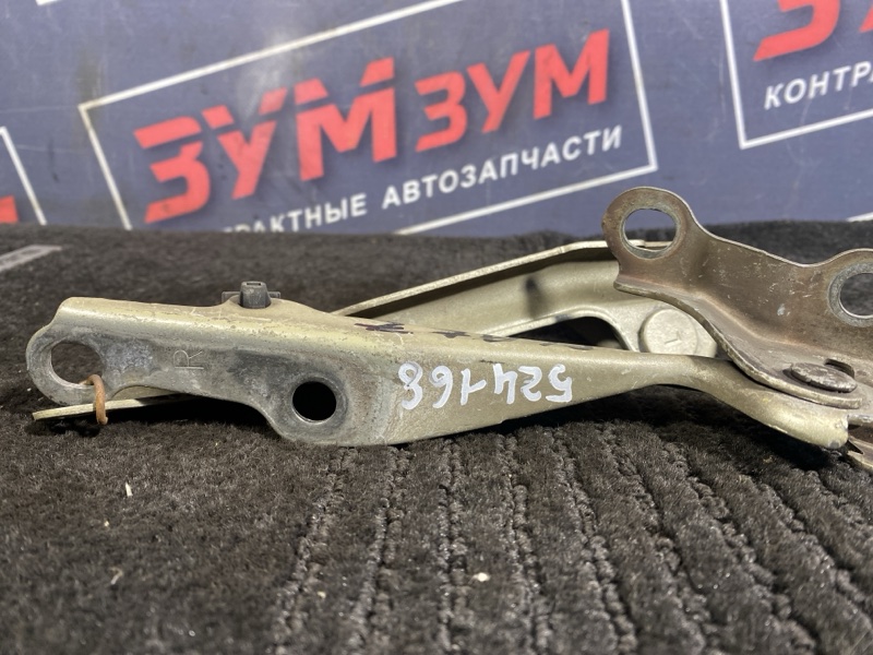 Петля (Шарнир капота), 300 рублей, Солонцы