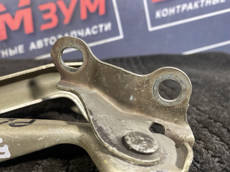 Петля (Шарнир капота), 300 рублей, Солонцы