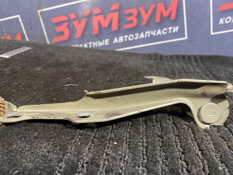Петля (Шарнир капота), 300 рублей, Солонцы