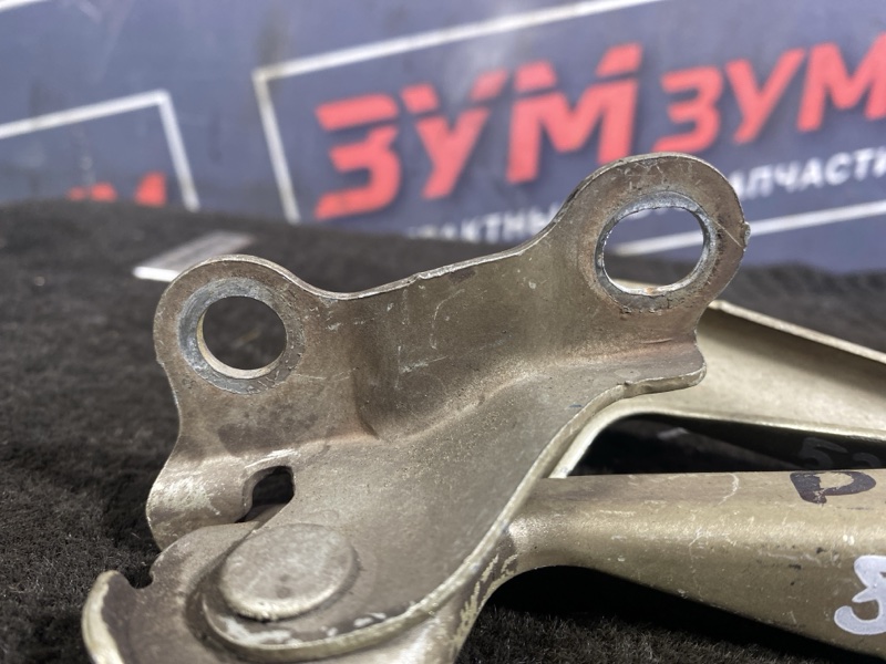 Петля (Шарнир капота), 300 рублей, Солонцы