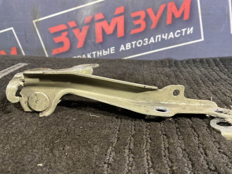 Петля (Шарнир капота), 300 рублей, Солонцы