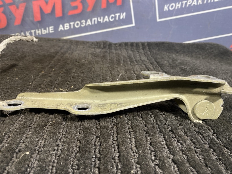 Петля (Шарнир капота), 300 рублей, Солонцы