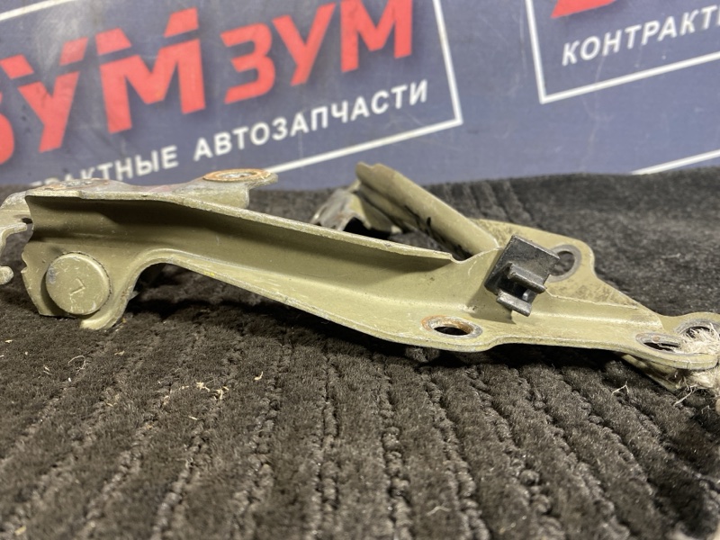 Петля (Шарнир капота), 300 рублей, Солонцы