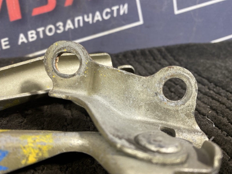 Петля (Шарнир капота), 300 рублей, Солонцы