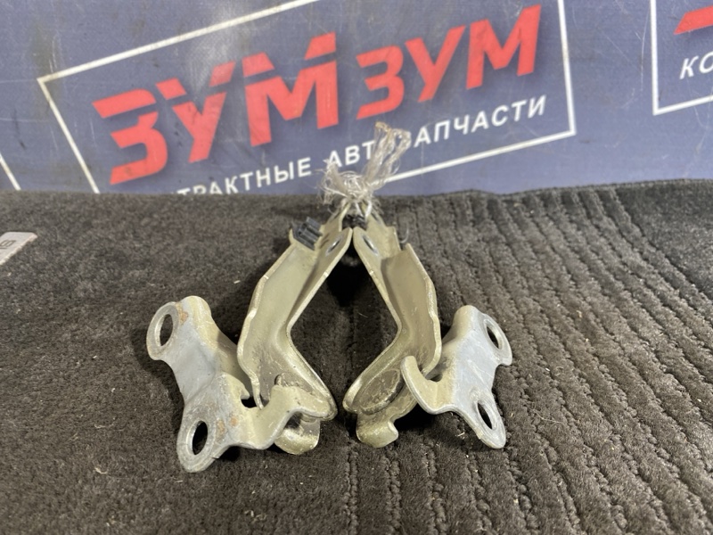Петля (Шарнир капота), 300 рублей, Солонцы