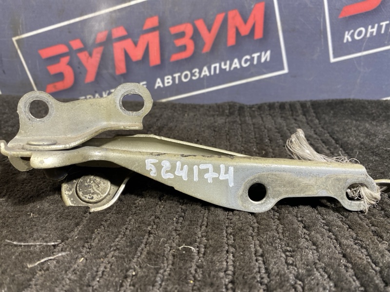 Петля (Шарнир капота), 300 рублей, Солонцы