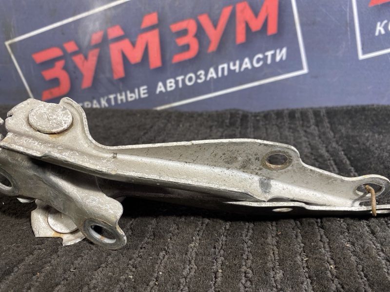 Петля (Шарнир капота), 300 рублей, Солонцы