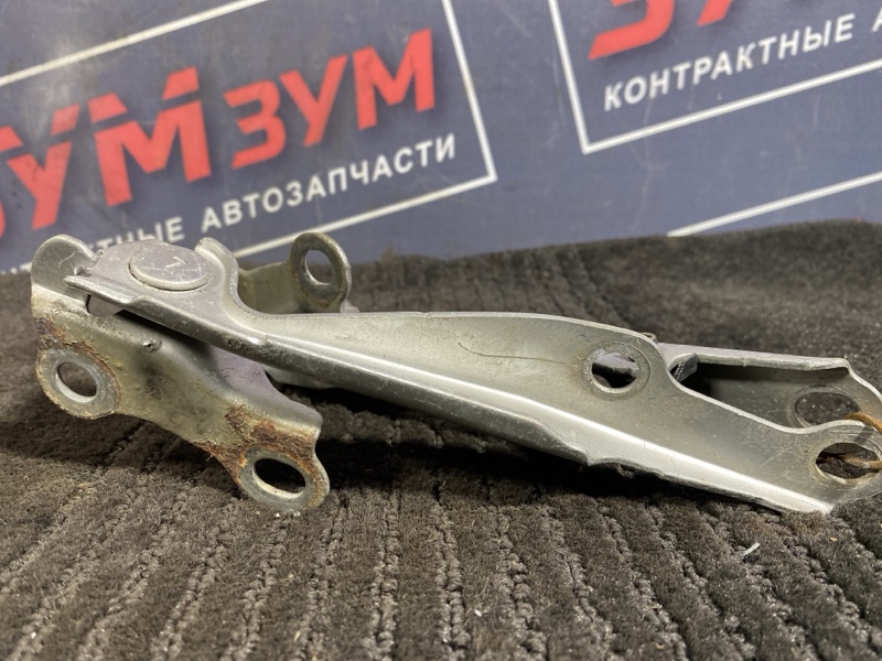 Петля (Шарнир капота), 300 рублей, Солонцы