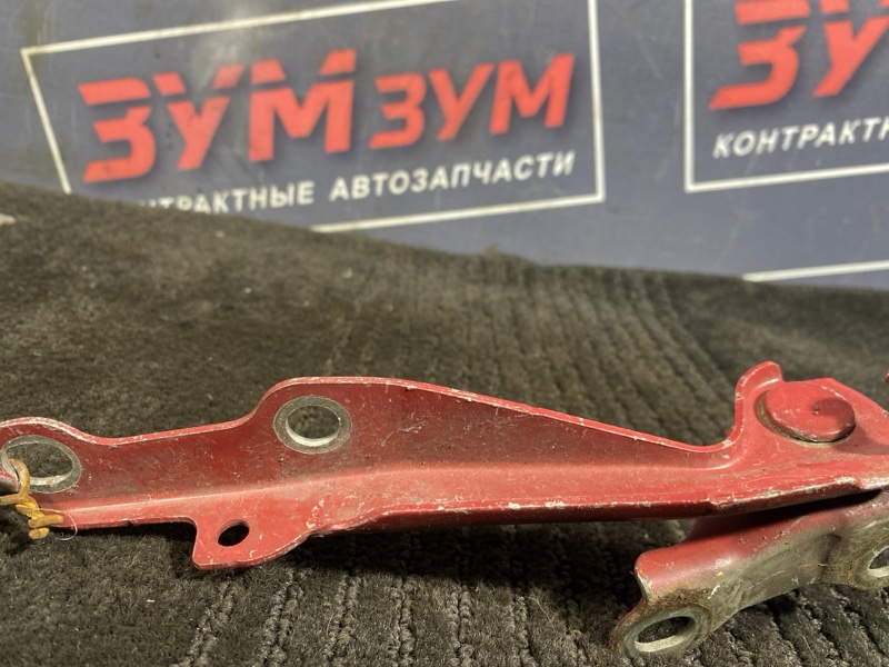 Петля (Шарнир капота), 300 рублей, Солонцы