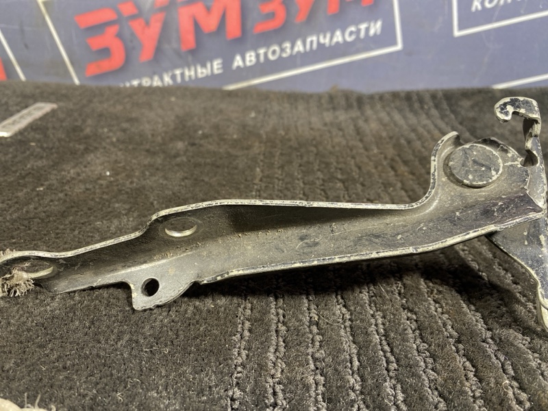 Петля (Шарнир капота), 300 рублей, Солонцы