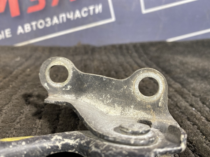 Петля (Шарнир капота), 300 рублей, Солонцы