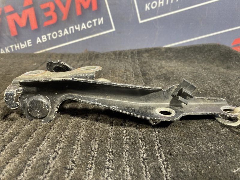 Петля (Шарнир капота), 300 рублей, Солонцы