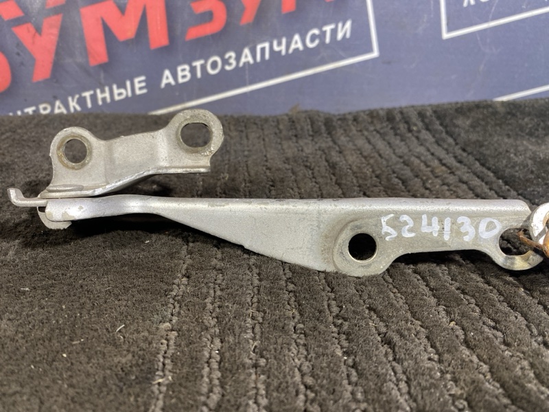 Петля (Шарнир капота), 300 рублей, Солонцы