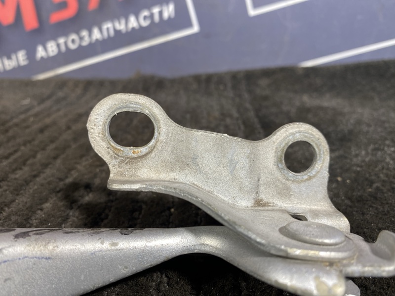 Петля (Шарнир капота), 300 рублей, Солонцы
