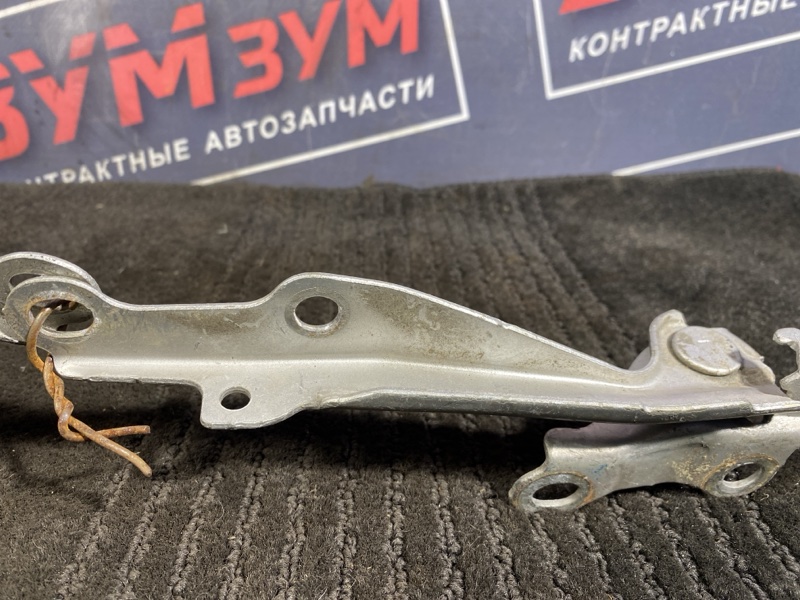 Петля (Шарнир капота), 300 рублей, Солонцы