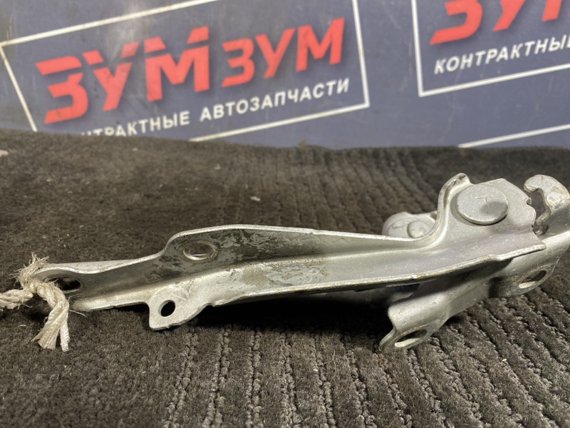 Петля (Шарнир капота), 300 рублей, Солонцы
