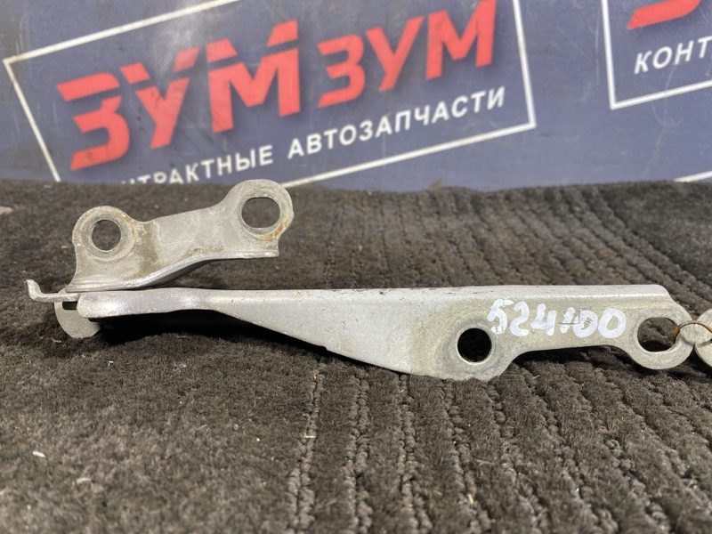 Петля (Шарнир капота), 300 рублей, Солонцы