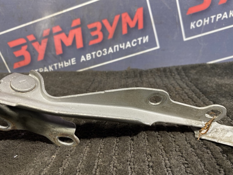 Петля (Шарнир капота), 300 рублей, Солонцы