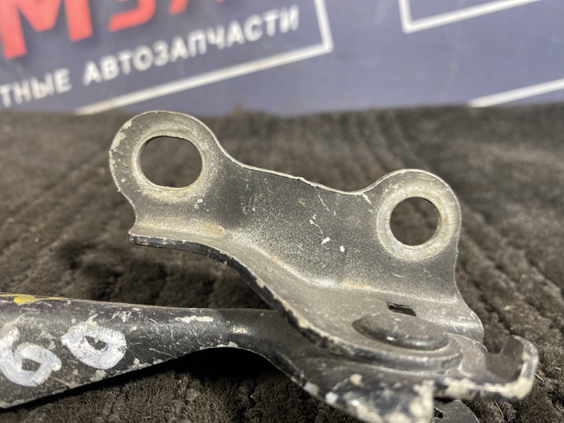 Петля (Шарнир капота), 300 рублей, Солонцы