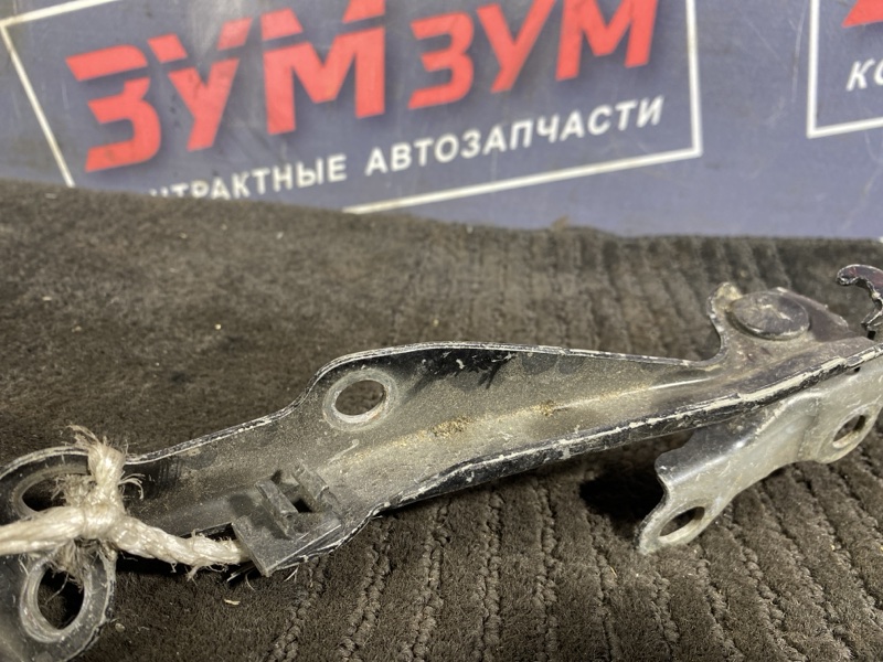 Петля (Шарнир капота), 300 рублей, Солонцы