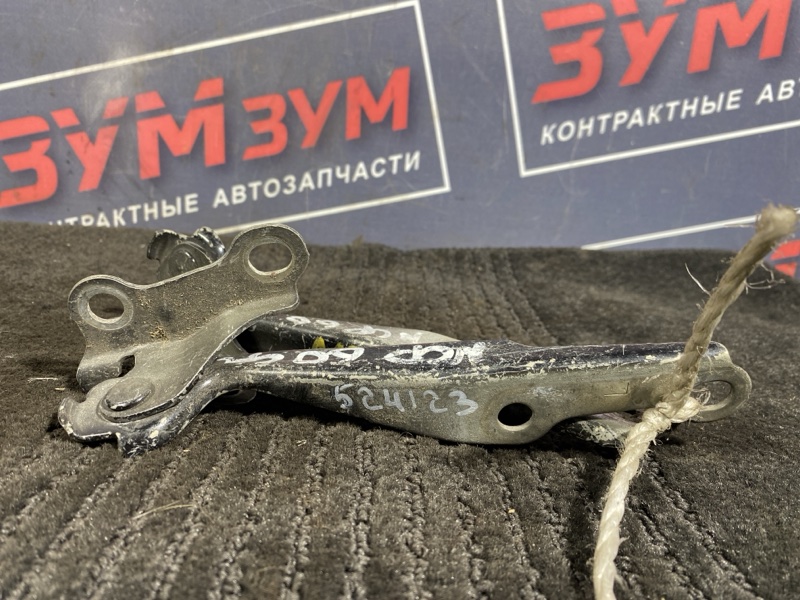 Петля (Шарнир капота), 300 рублей, Солонцы