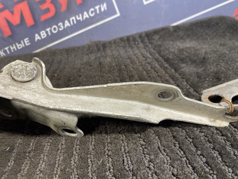 Петля (Шарнир капота), 300 рублей, Солонцы