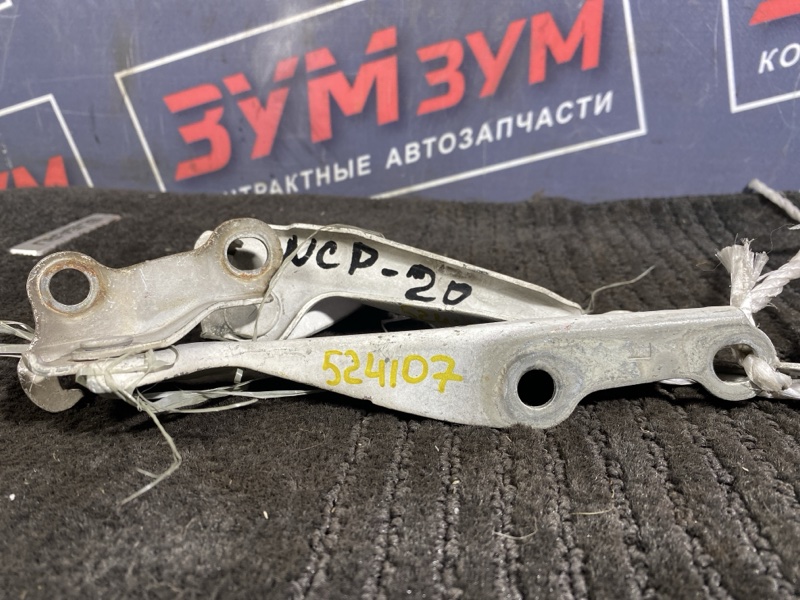 Петля (Шарнир капота), 300 рублей, Солонцы