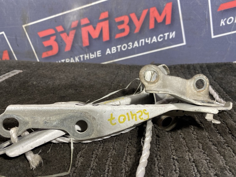 Петля (Шарнир капота), 300 рублей, Солонцы