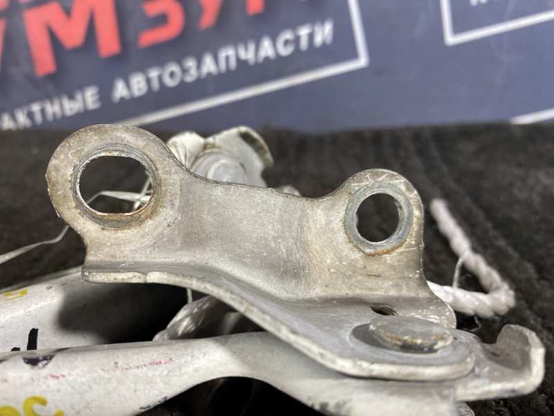 Петля (Шарнир капота), 300 рублей, Солонцы
