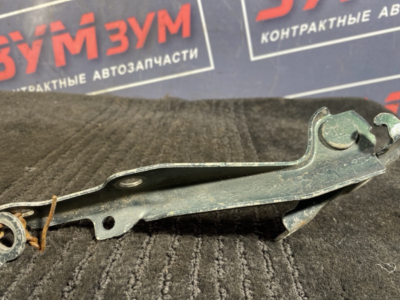 Петля (Шарнир капота), 300 рублей, Солонцы