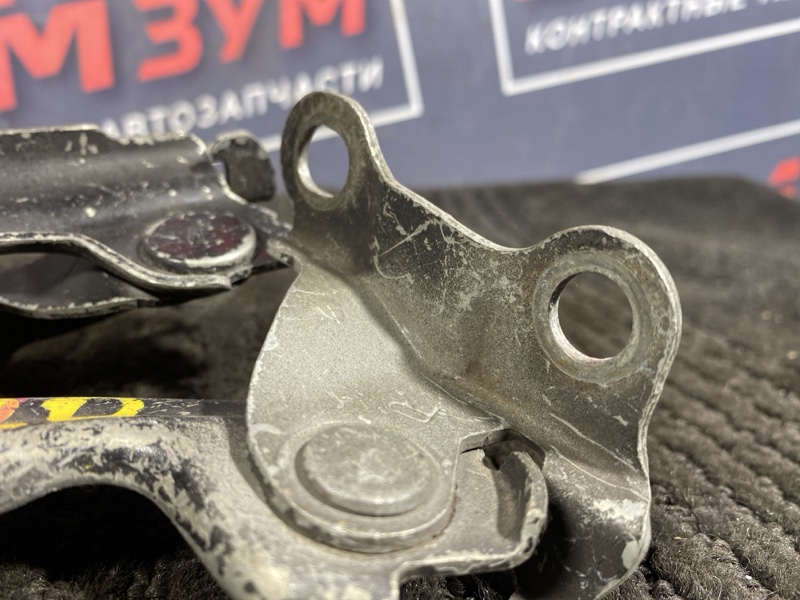 Петля (Шарнир капота), 300 рублей, Солонцы