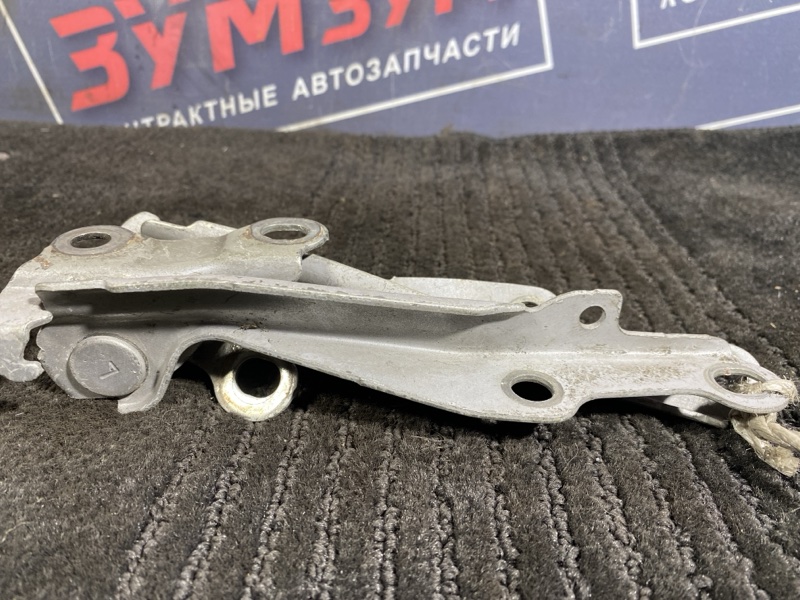 Петля (Шарнир капота), 300 рублей, Солонцы