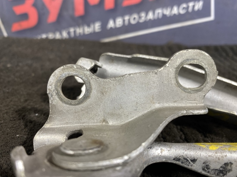 Петля (Шарнир капота), 300 рублей, Солонцы