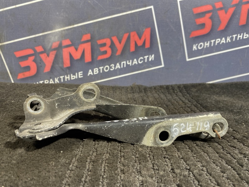 Петля (Шарнир капота), 300 рублей, Солонцы