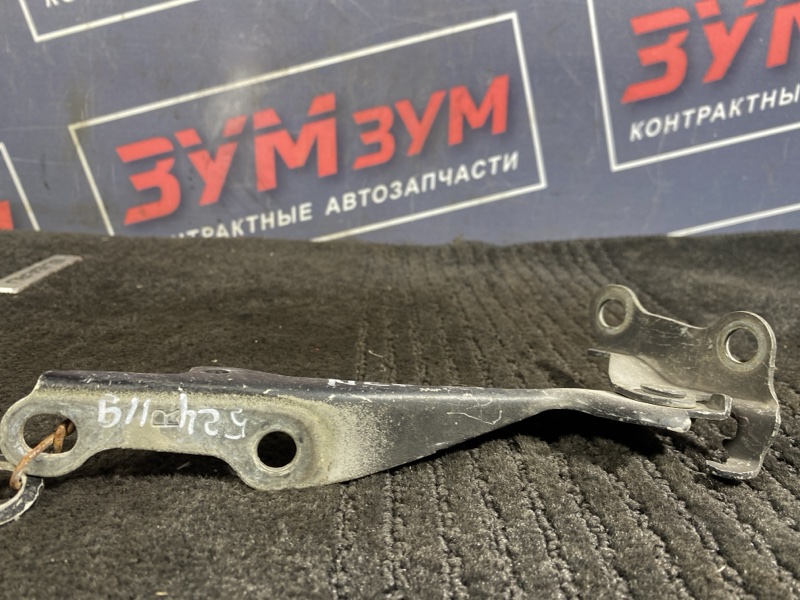Петля (Шарнир капота), 300 рублей, Солонцы