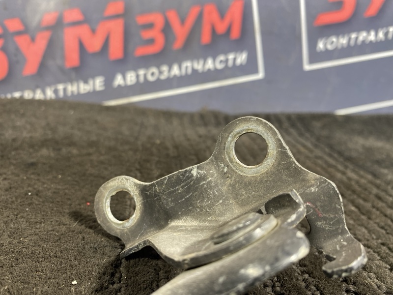 Петля (Шарнир капота), 300 рублей, Солонцы