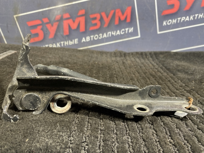 Петля (Шарнир капота), 300 рублей, Солонцы