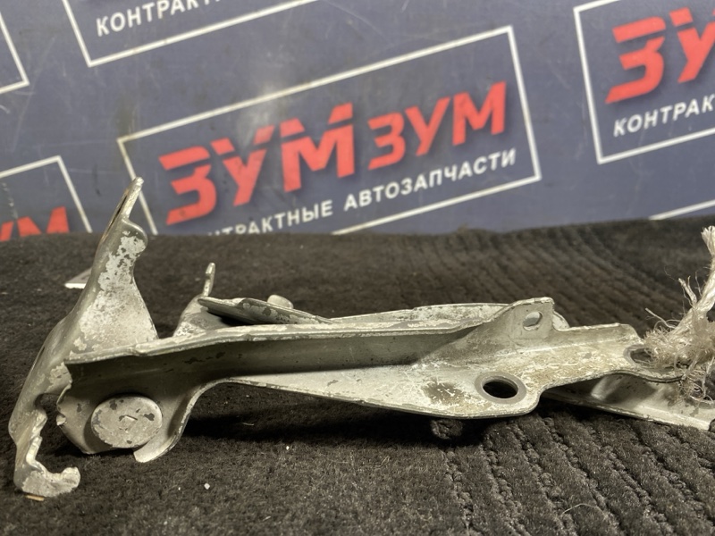 Петля (Шарнир капота), 300 рублей, Солонцы