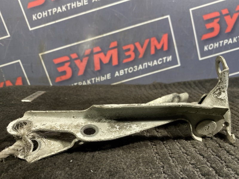 Петля (Шарнир капота), 300 рублей, Солонцы
