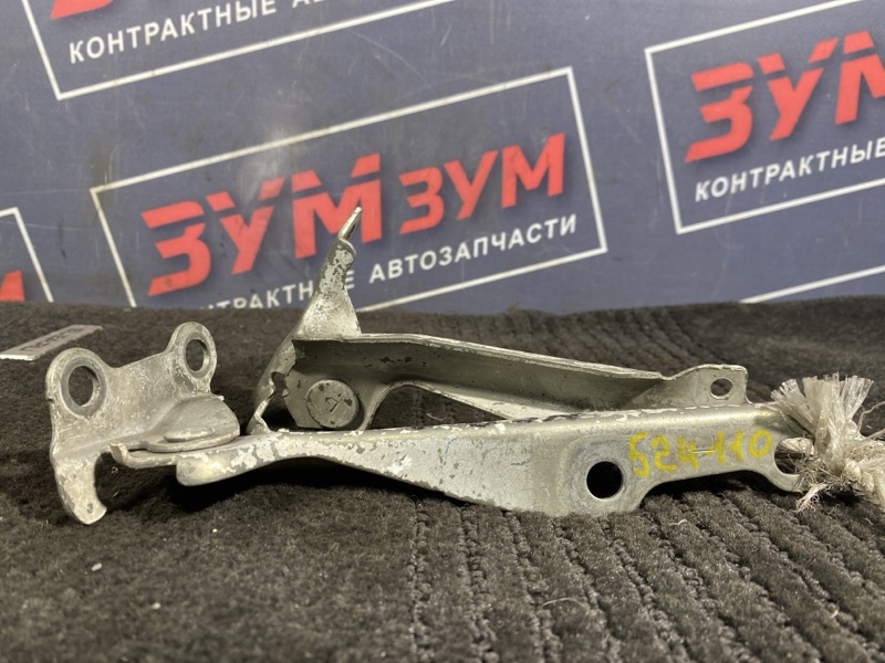 Петля (Шарнир капота), 300 рублей, Солонцы