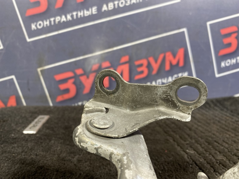 Петля (Шарнир капота), 300 рублей, Солонцы