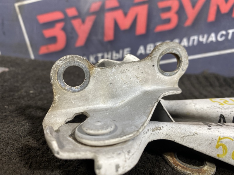 Петля (Шарнир капота), 300 рублей, Солонцы