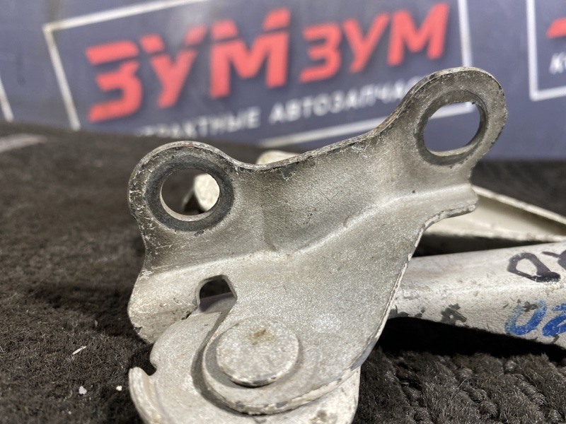 Петля (Шарнир капота), 300 рублей, Солонцы
