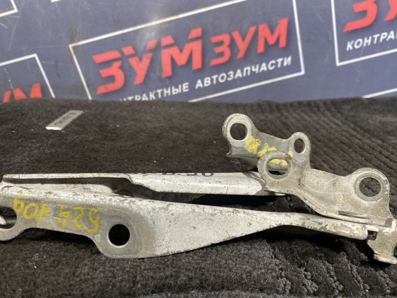 Петля (Шарнир капота), 300 рублей, Солонцы