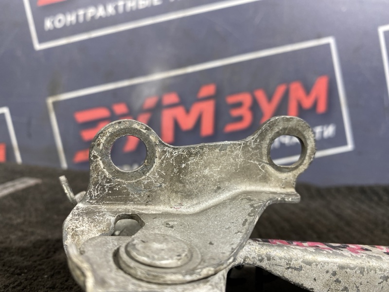 Петля (Шарнир капота), 300 рублей, Солонцы