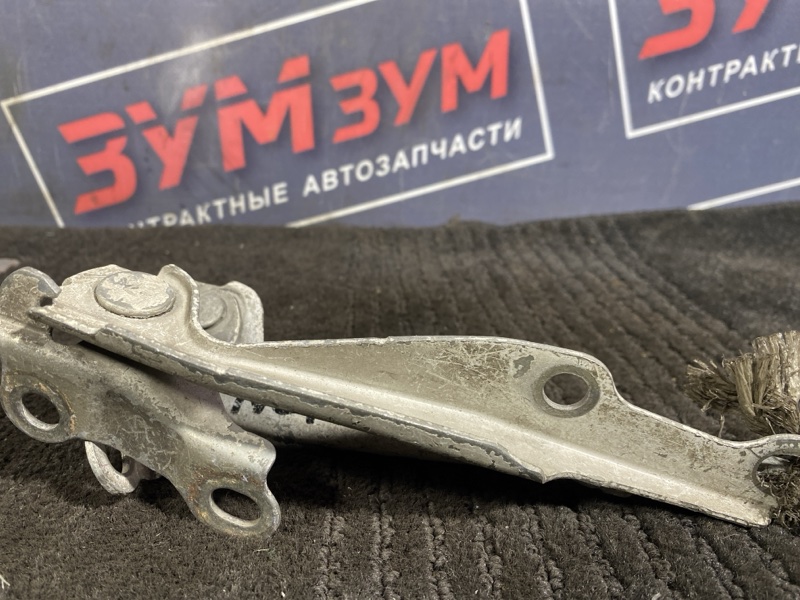 Петля (Шарнир капота), 300 рублей, Солонцы