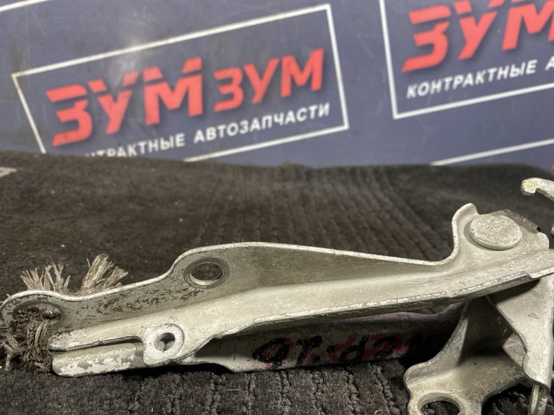 Петля (Шарнир капота), 300 рублей, Солонцы