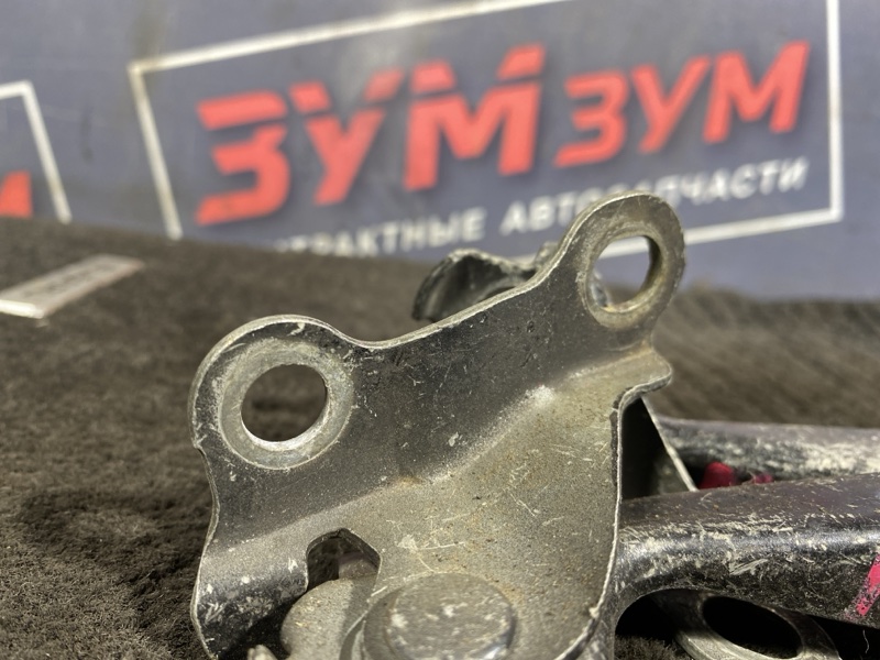 Петля (Шарнир капота), 300 рублей, Солонцы