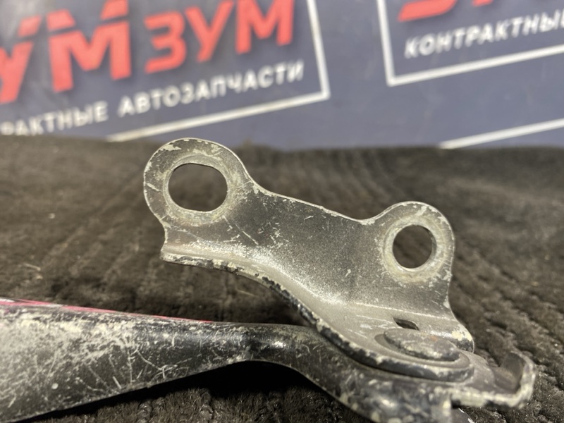 Петля (Шарнир капота), 300 рублей, Солонцы