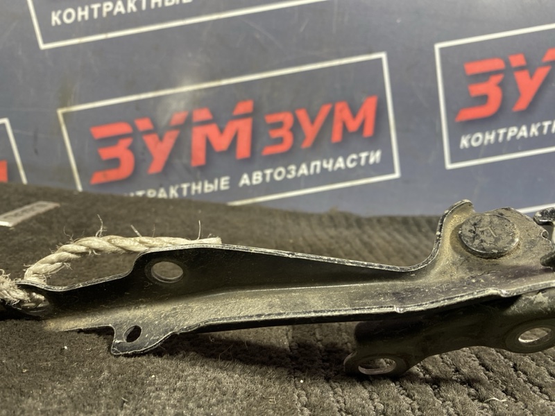 Петля (Шарнир капота), 300 рублей, Солонцы